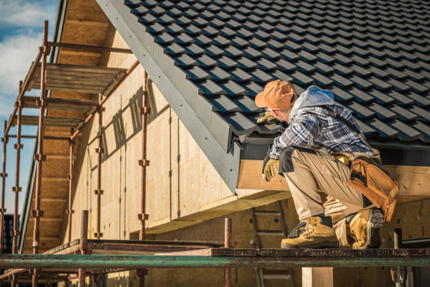 Best Skylight Installation and Repair  in Buhl, ID